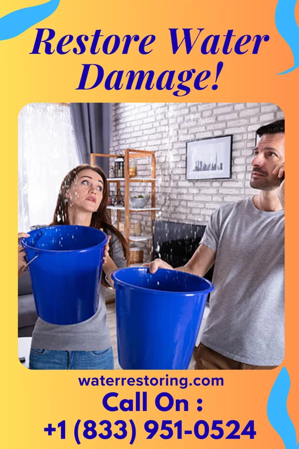 water restoration Quick Extraction Brothers Allgood